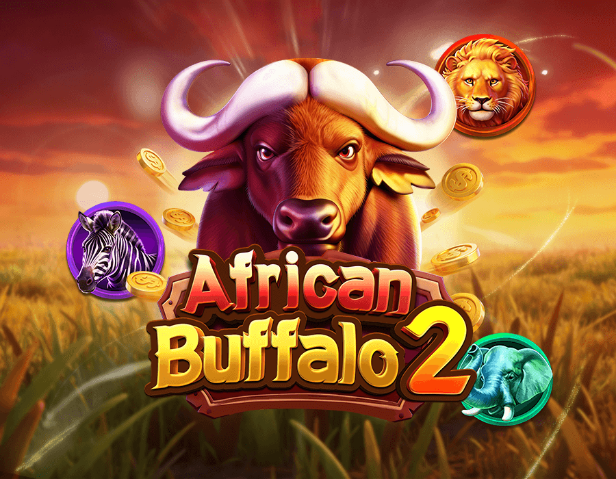 African Buffalo 2