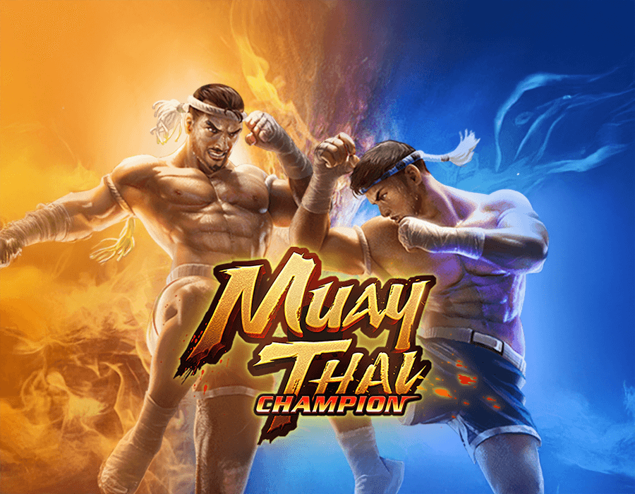 Muay Thai Champion